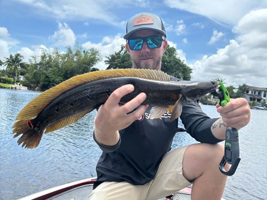 A man holding a large Snakehead fish with a tool, sitting on a boat on Lake Ida, FL, surrounded by trees and clouds in the background.