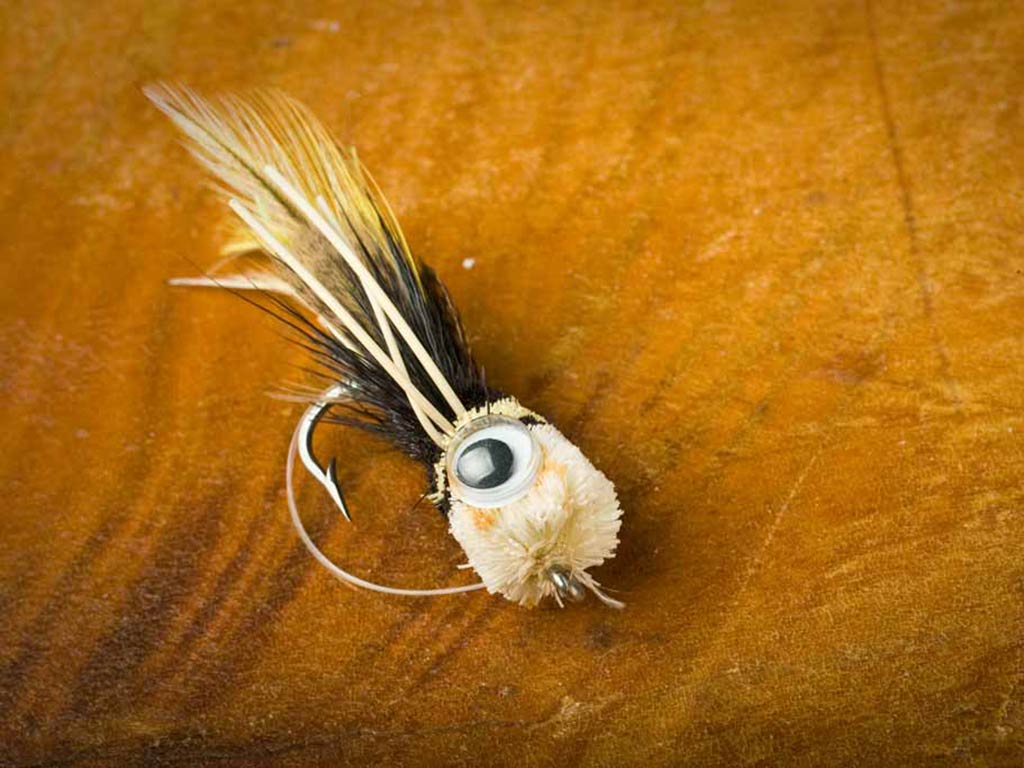 A closeup of a fly fishing lure with a feathery body and a large googly eye, placed on a brown surface.