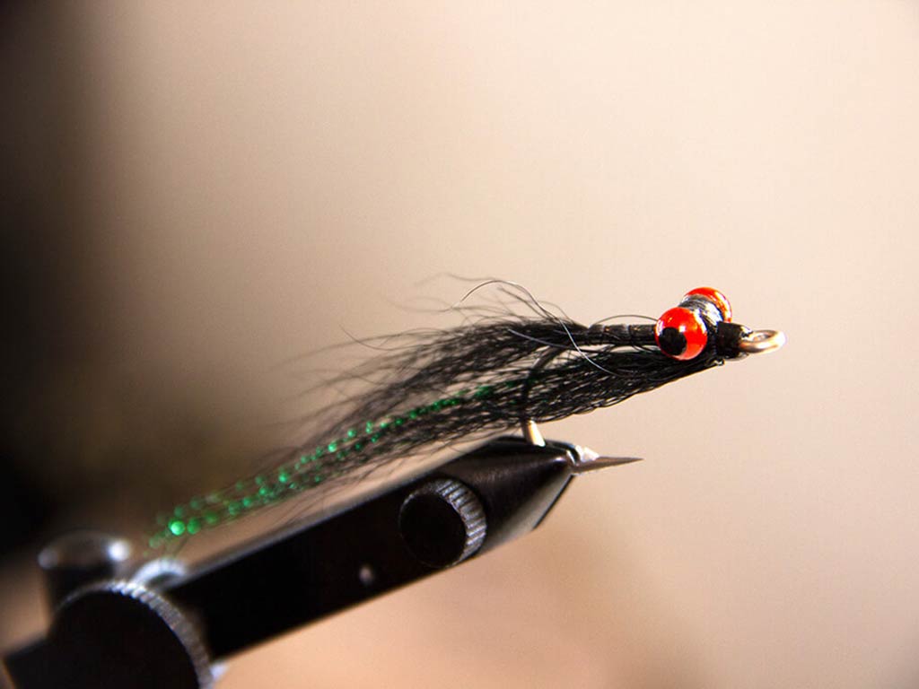 A close-up of a fishing fly lure featuring black fur, a green thread, and red bead eyes, all secured in a vise.