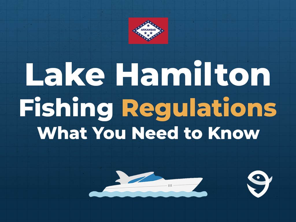 An infographic showing the flag of Arkansas along with text that says "Lake Hamilton Fishing Regulations What You Need to Know" against a dark blue background and above a vector of a boat and the FishingBooker logo.