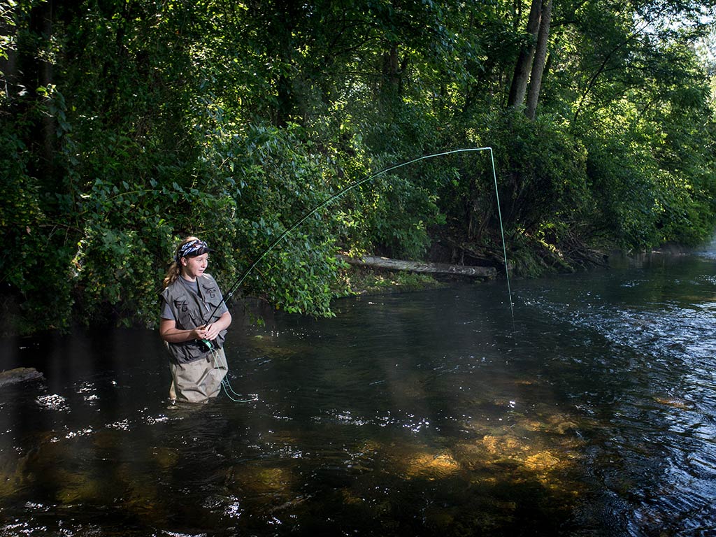 A person enjoys fly fishing in a river near Lake Hamilton, surrounded by lush green trees and dappled sunlight dancing on the water.