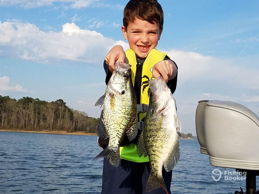 A young boy on a boat at Lake Hamilton's smiling while holding two large Panfish. He's wearing a yellow life jacket, with the serene backdrop of trees and water completing the scene.
