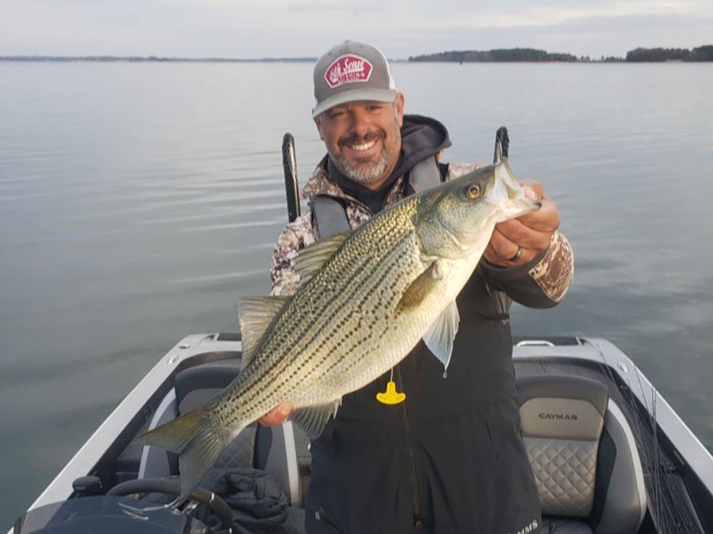 A man on a boat at Lake Hamilton's holding a large White Bass with both hands, smiling at the camera. The distant shoreline adds to the charm of his memorable fishing adventure.