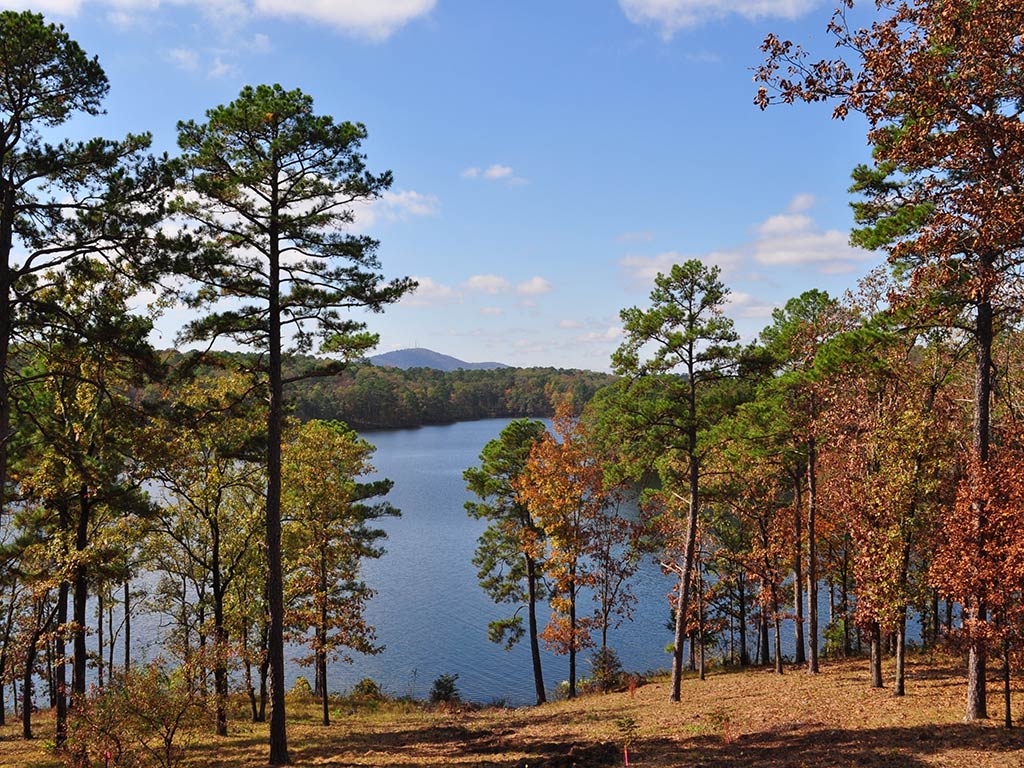 Lake Hamilton surrounded by pine and deciduous trees showcasing autumn foliage under a blue sky with clouds.