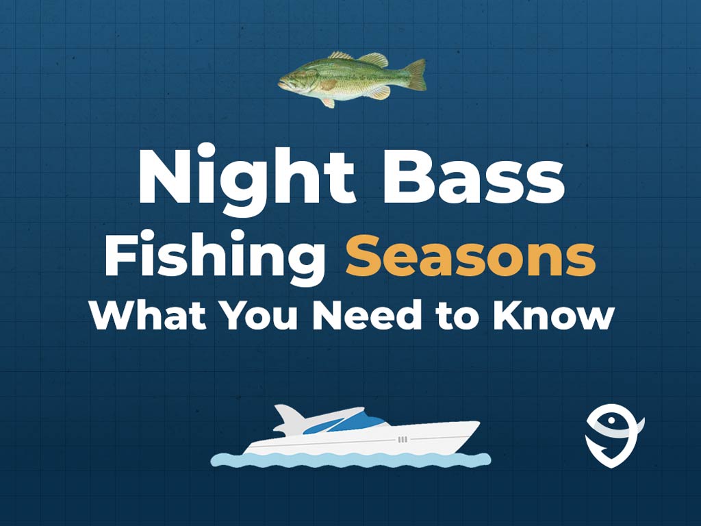An infographic showing a vector of a Largemouth Bass, along with text that says "Night Bass Fishing Seasons What You Need to Know" against a dark blue background and above a vector of a boat and the FishingBooker logo.
