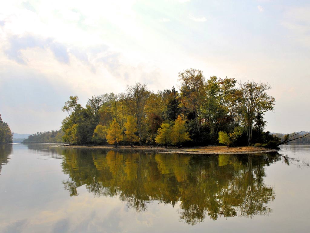 A small, tree-covered island on Chickamauga Lake, one of the best fishing lakes in the US, surrounded by calm water, with autumn foliage visible on an island and reflecting on the surface, with a hazy sky above.