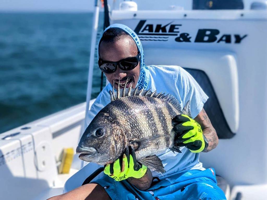 An angler sitting on a charter fishing boat and holding a Sheepshead, a fish with a funny name, while wearing sunglasses, a cap, and bright green gloves.