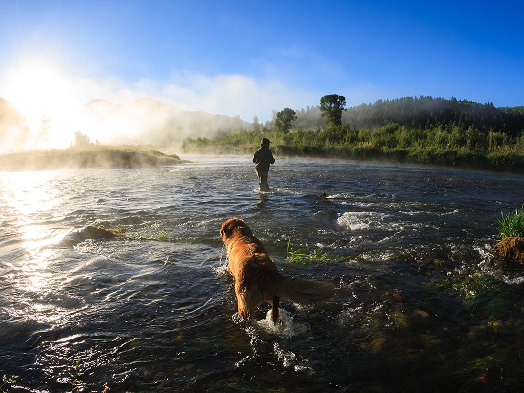 A person wades through a river in Idaho, while a dog follows. Mist rises from the water, with trees and hills visible under the clear sky.