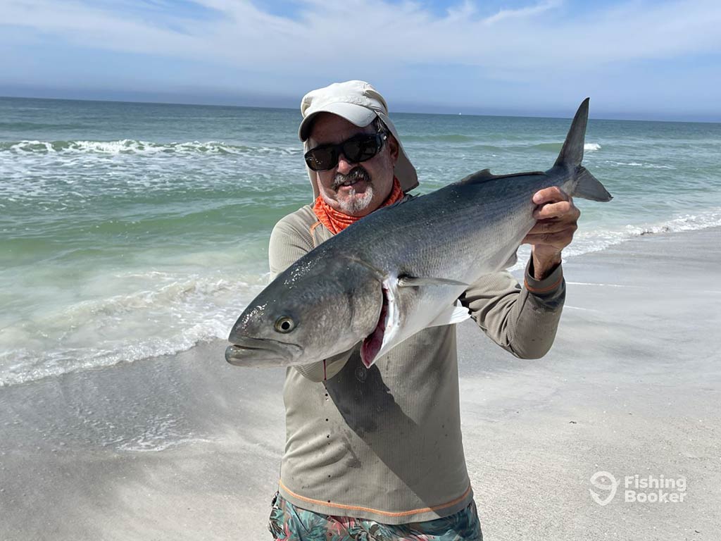 A person standing on a beach with waves visible in the background, proudly holding a large Bluefish. They’re wearing sunglasses and a cap, looking thrilled with their impressive catch.