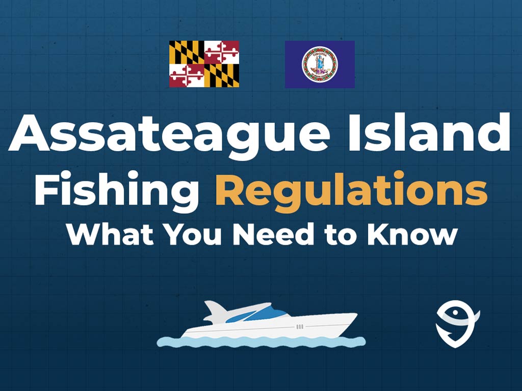 An infographic showing the flags of Maryland and Virginia along with text that says "Assateague Islands Fishing Regulations What You Need to Know" against a dark blue background and above a vector of a boat and the FishingBooker logo.