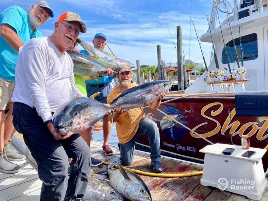 Four men are posing with large Tuna on a dock at Assateague Island, next to a boat named "Shark."