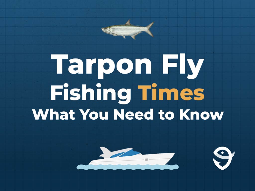 An infographic showing a vector of a Tarpon, along with text that says "Tarpon Fly Fishing Times What You Need to Know" against a dark blue background and above a vector of a boat and the FishingBooker logo.