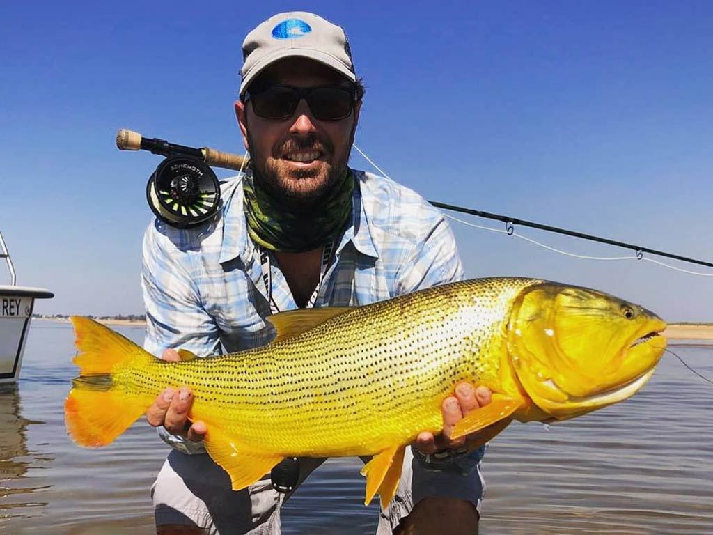 A person holding a large Golden Dorado by the water, wearing a hat, sunglasses, and a long-sleeve shirt. A fly fishing rod is visible in the background.