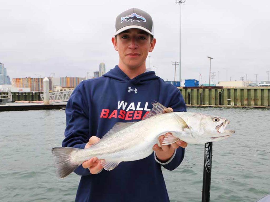A person holding a silver Corvina fish by the waterfront, wearing a blue hoodie and a cap.