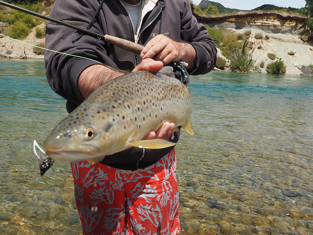 A closeup of a Brown Trout being held in Patagonia, with a fishing rod near the riverbank visible.