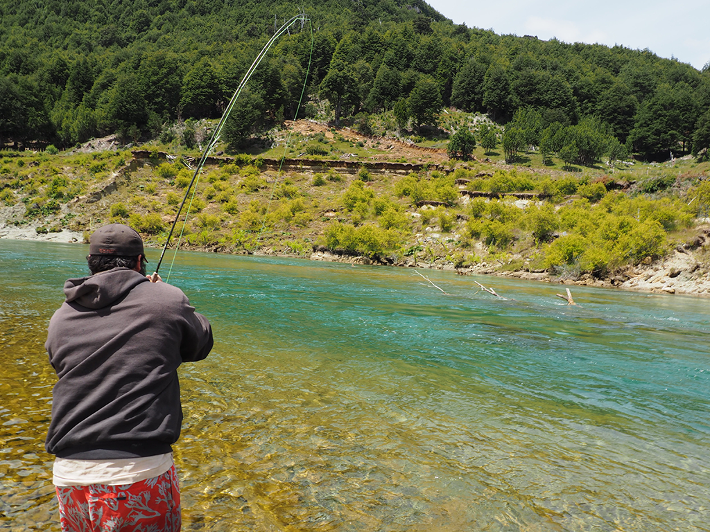 A view from behind of a person in a hoodie and shorts is trout fishing in a clear, shallow river surrounded by lush green trees and a hillside in Patagonia.