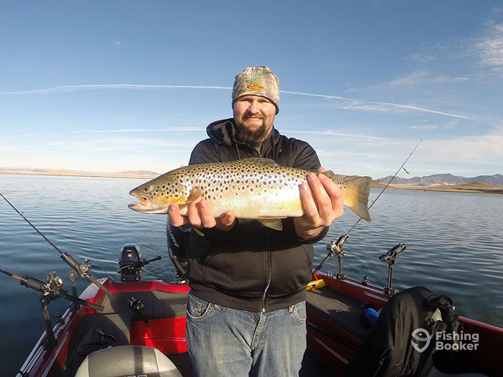 A man on a boat is holding a Brown Trout with both hands. The background shows calm water and distant mountains under a clear sky.