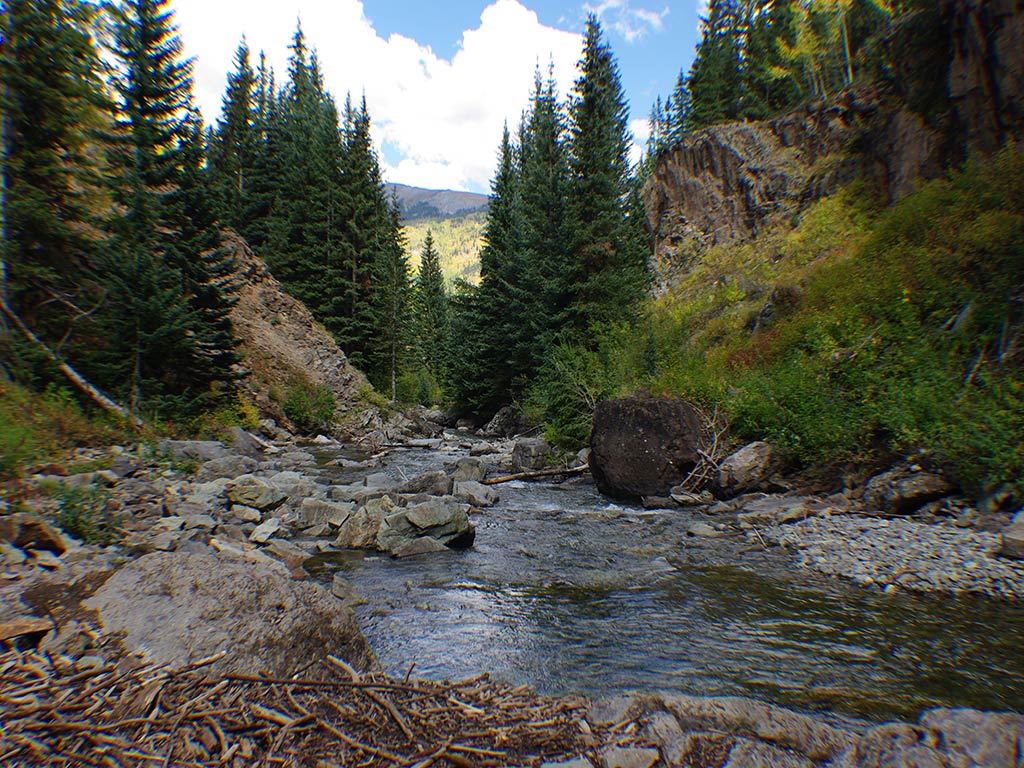 A scene depicts a rocky river winding its way through a lush forest, where tall Evergreen Trees tower over the landscape. The surrounding hills add to the picturesque view under a partly cloudy sky.