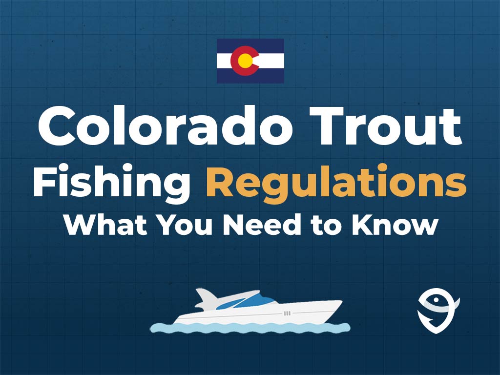 An infographic showing the Colorado flag along with text that says "Colorado Trout Fishing Regulations. What You Need to Know" against a dark blue background, featuring a vector of a fish and the FishingBooker logo.