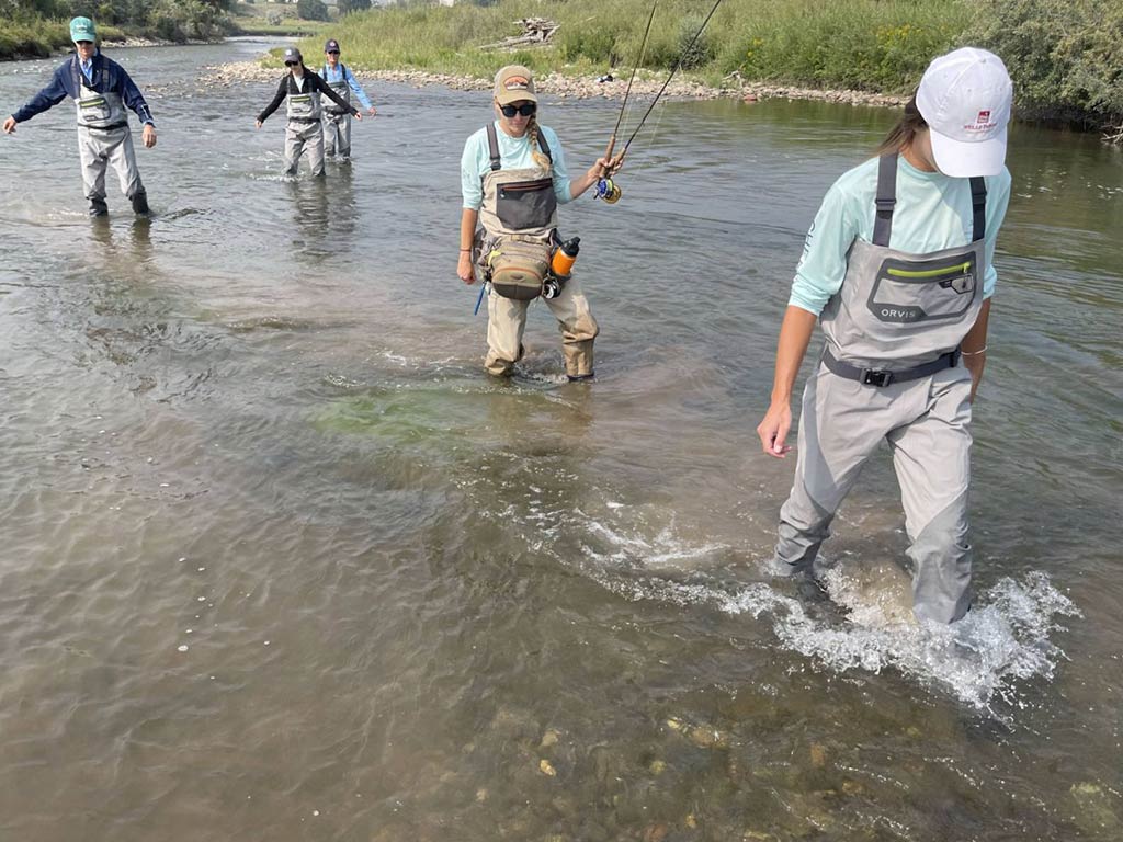 Four people wearing waders and hats are wading in a shallow stream, holding fly fishing rods. Vegetation lines the banks under a clear sky, creating a peaceful scene perfect for fishing.