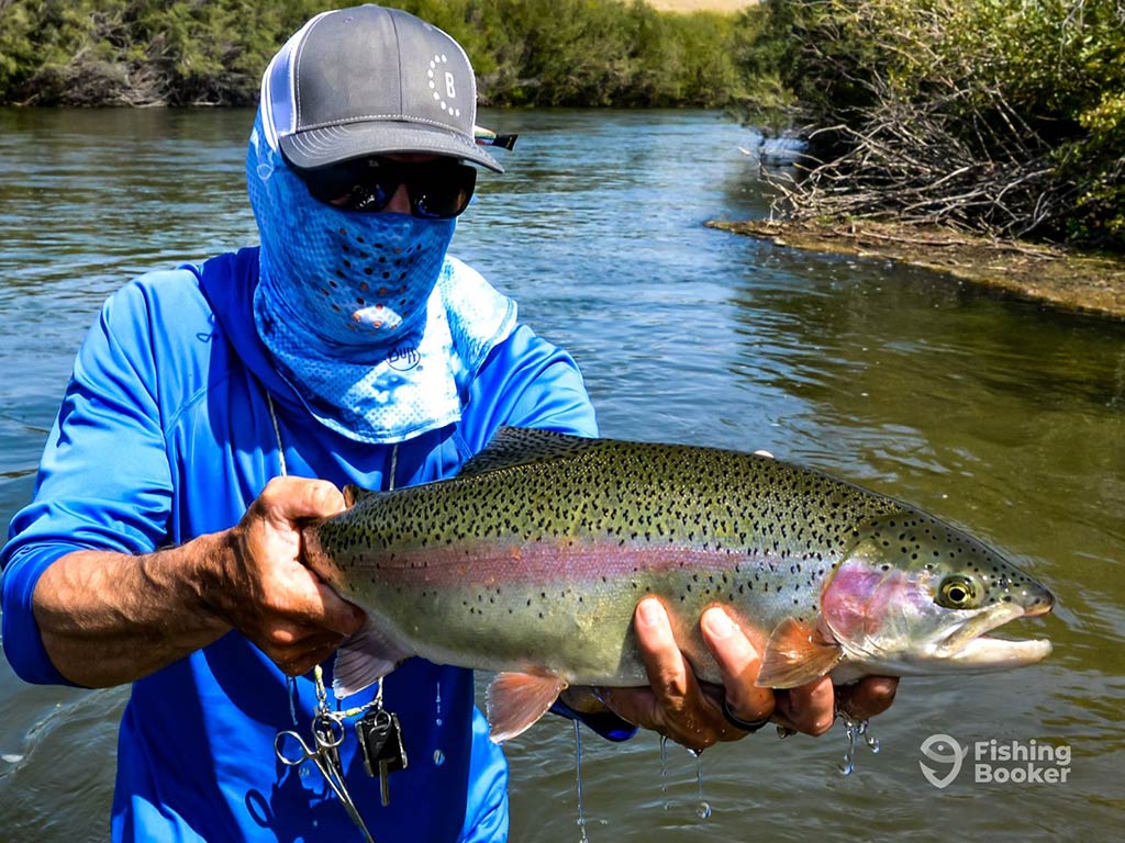 A person enjoying Trout fishing in Montana is holding a large catch by the river, dressed in a blue shirt, cap, sunglasses, and face covering.