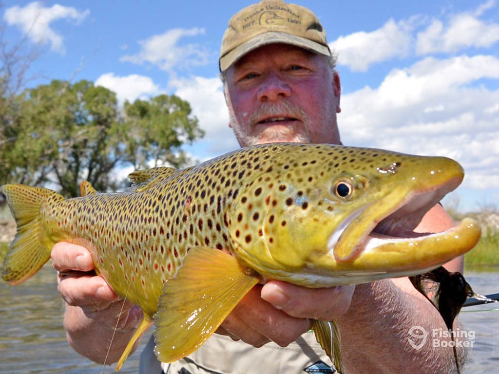 A person proudly holding a large Brown Trout, showcasing their successful Trout fishing adventure in Montana. The trees and partly cloudy sky provide the perfect backdrop.