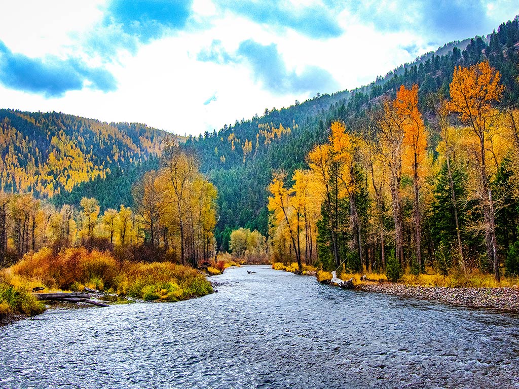 A river near Missoula, MT, flows through a forested valley during autumn, with trees displaying vibrant yellow and orange foliage under a partly cloudy sky.