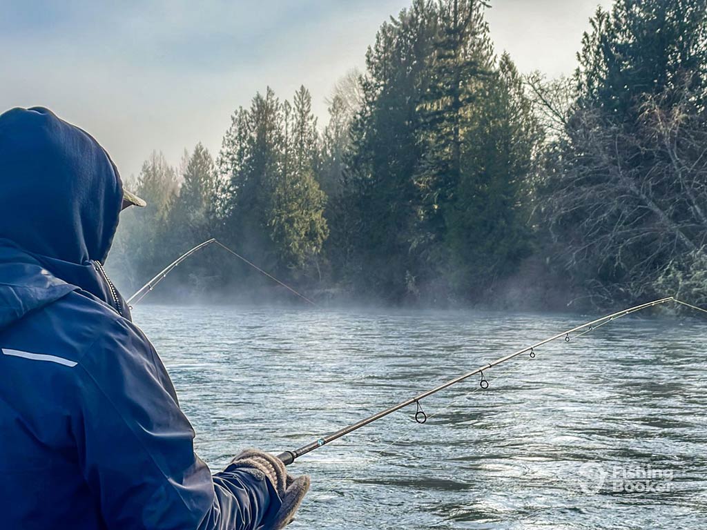 A person in a blue jacket and hoodie is fishing on a foggy river, surrounded by tall Evergreen trees.