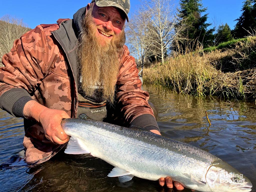 A person with a long beard, wearing a camouflage jacket and cap, is kneeling in a shallow river holding a large Steelhead fish. Trees and grass can be seen in the background on a clear day.