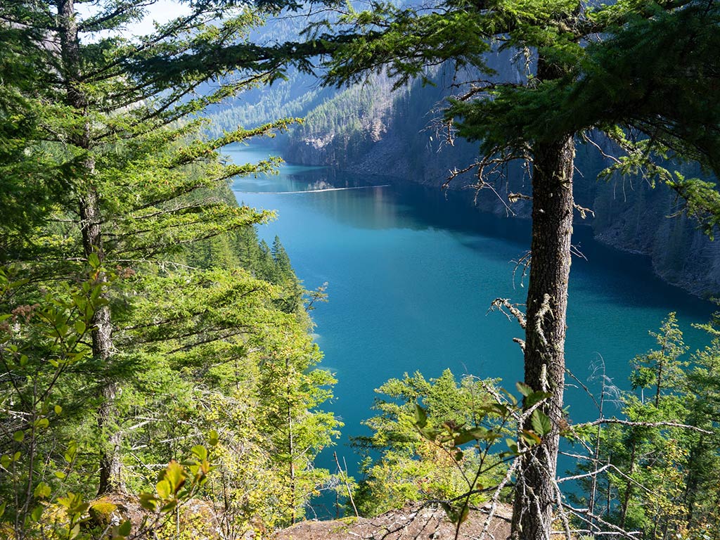 Here's a view of a serene, clear blue lake surrounded by lush green coniferous trees and mountains under a blue sky—it's a perfect spot for Trout fishing in Washington.