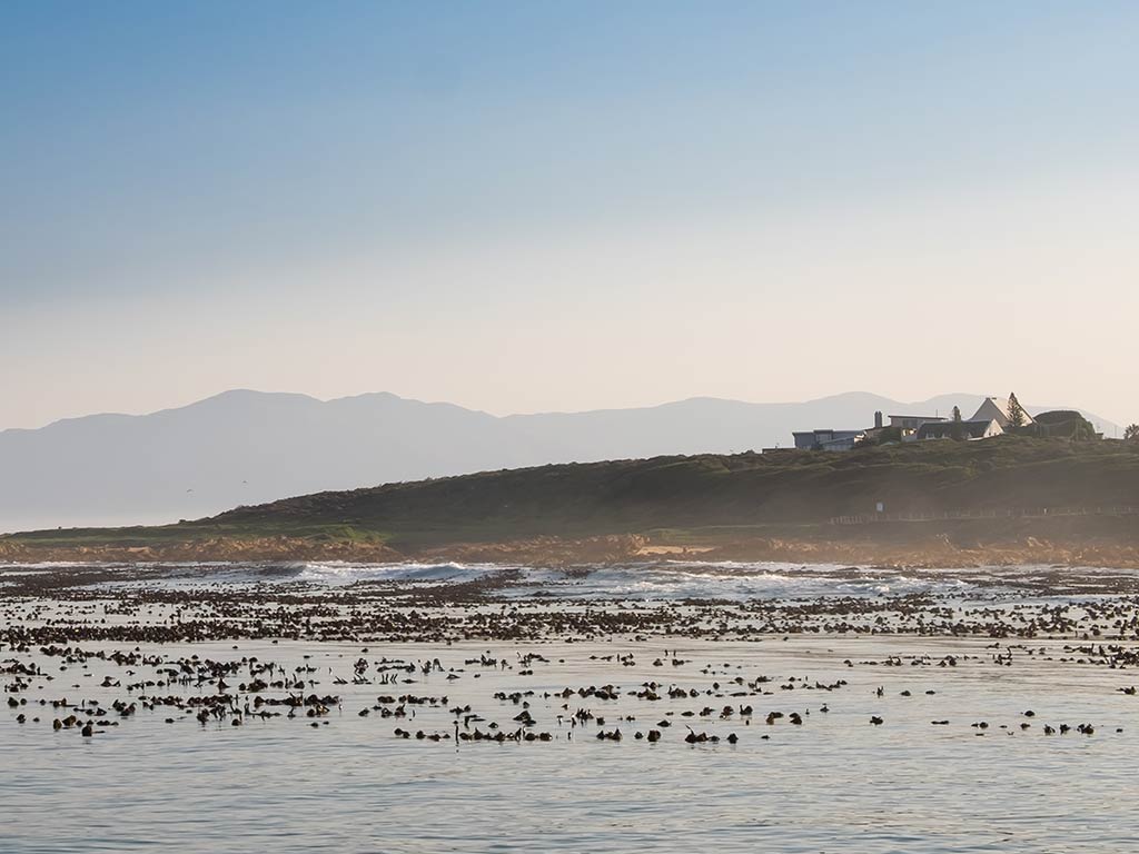 A coastal landscape has a rocky shoreline where waves crash near the kelp beds. In the distance, you can see mountains rising majestically under the clear blue sky.