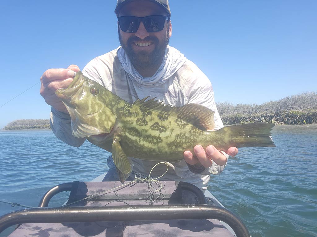 A person on a boat, smiling with sunglasses and a hat, is holding a large fish caught using bait for fishing kelp beds. The water and distant shoreline create a scenic background.