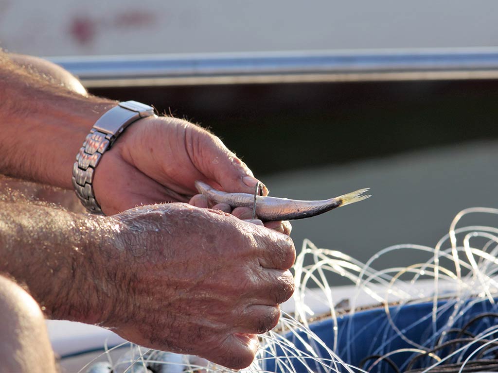 A closeup of a person's hand holding a small fish with both hands above a tangled fishing net.