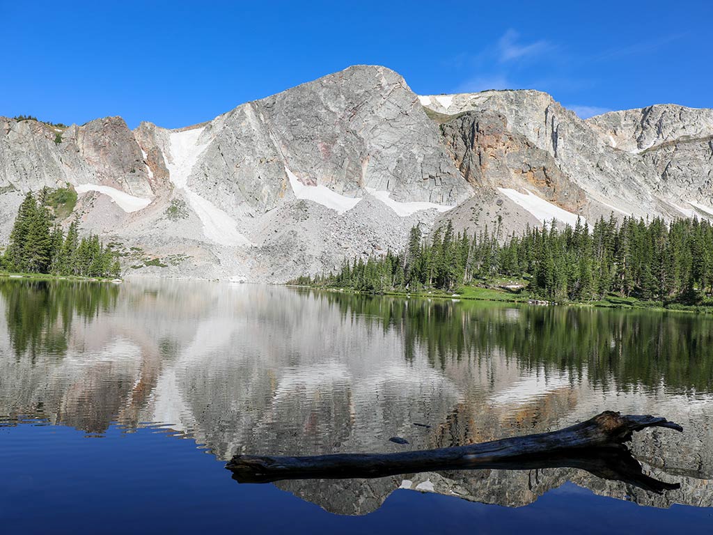 A clear lake mirrors towering pine trees and the rugged Snowy Mountain range beneath a bright blue sky.