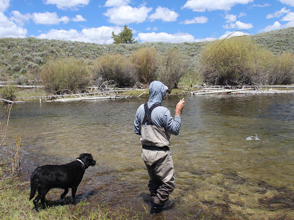 A view from behind of a person in waders fly fishing a shallow river under blue skies near Dubois, Wyoming, while a Black Dog stands nearby.
