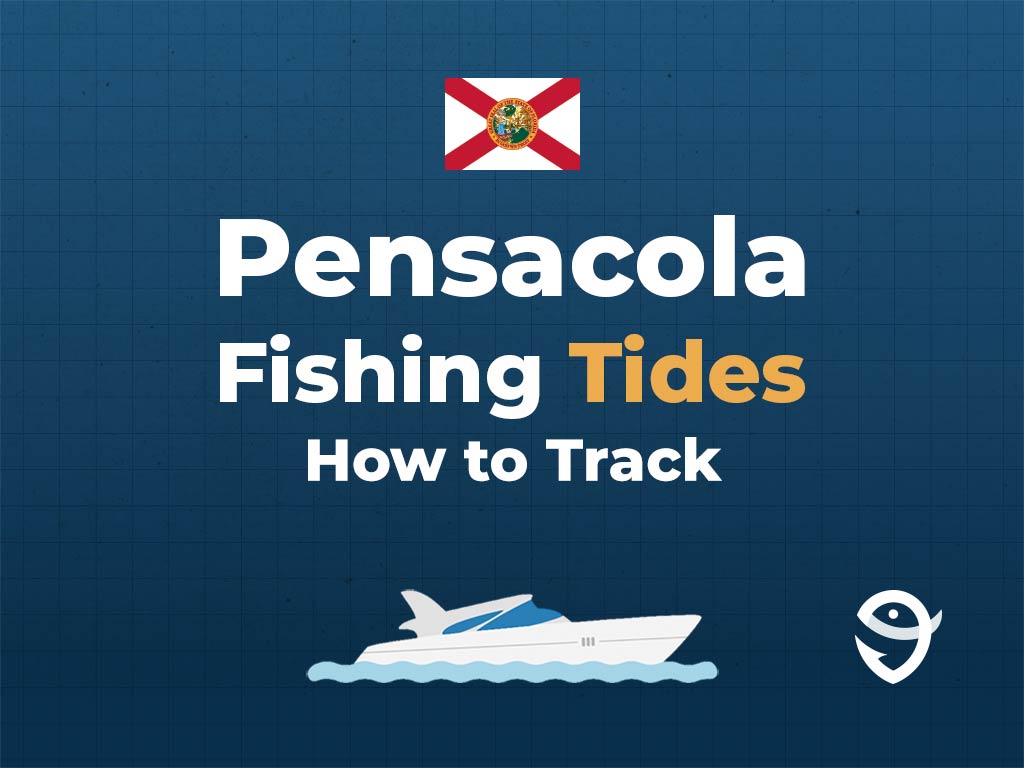 An infographic showing the Florida flag along with text that says "Florida Fishing Tides. How to Track" against a dark blue background, featuring a vector of a fish and the FishingBooker logo.