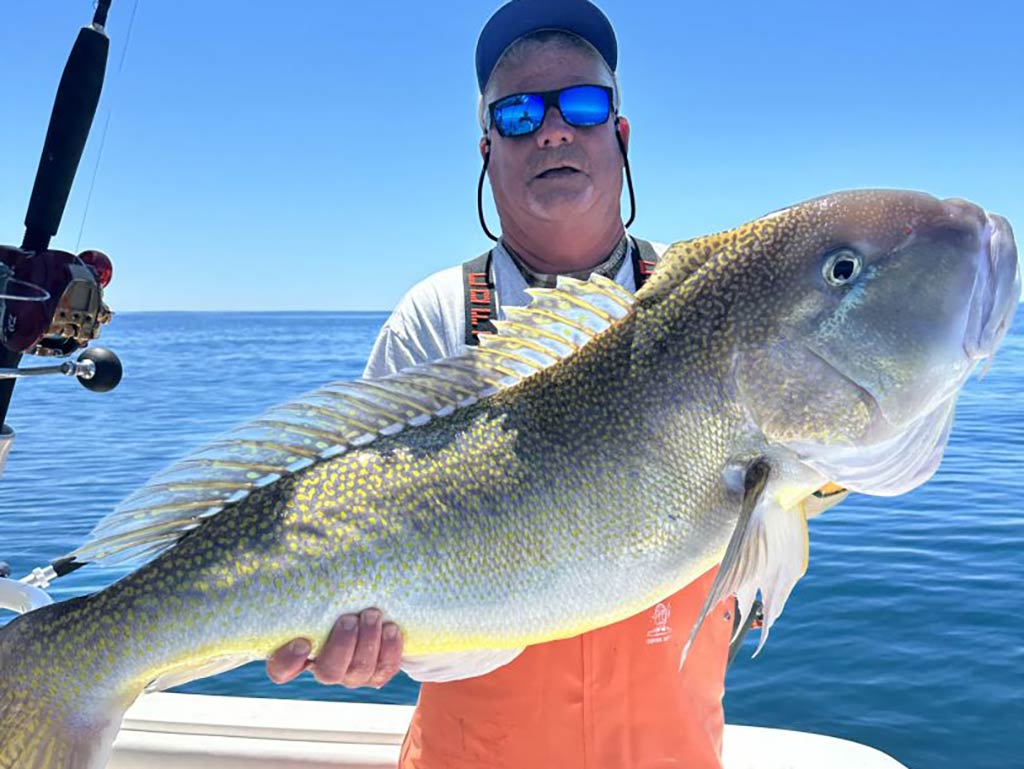 A person on a boat holds a large Tilefish with yellow and white scales against a backdrop of calm blue sea and sky.
