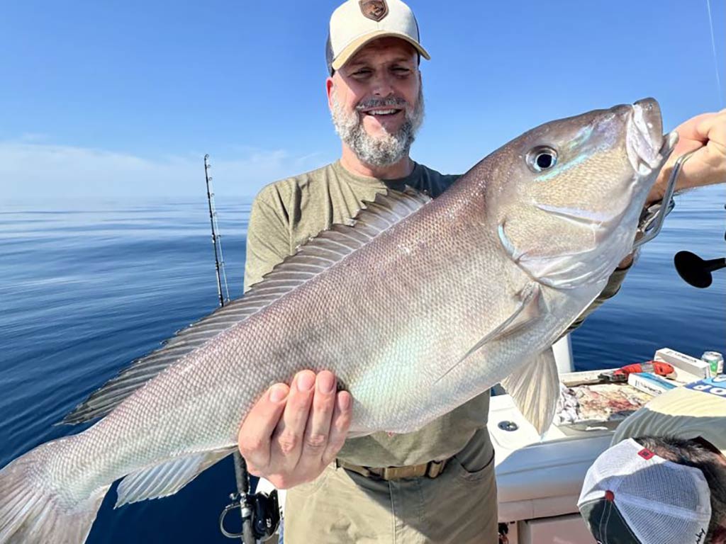 A man with a gray beard holds a large Tilefish on a boat at sea, fishing for Tilefish with his rod as calm water stretches into the background.
