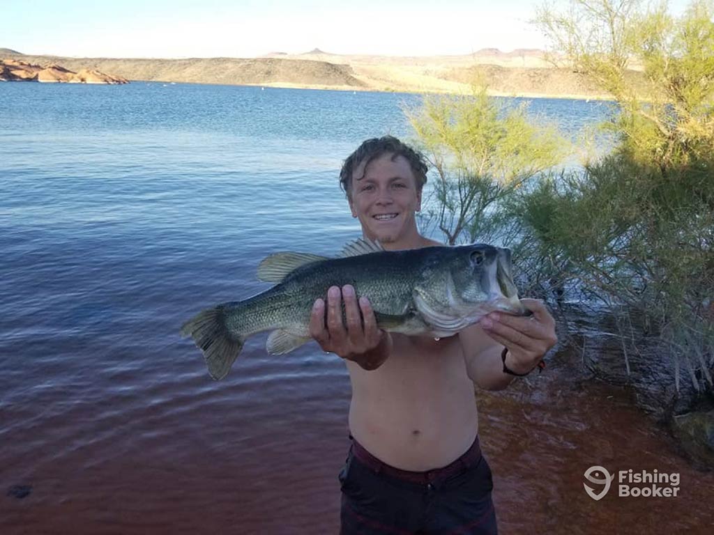 A young man stands shirtless by a lakeshore, holding a large Bass with both hands, with the lake shining under the sunshine in the distance.