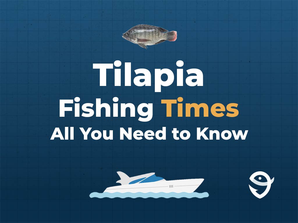 An infographic showing a vector of a Tilapia fish, along with text that says "Tilapia Fishing Times All You Need to Know" against a dark blue background and above a vector of a boat and the FishingBooker logo.