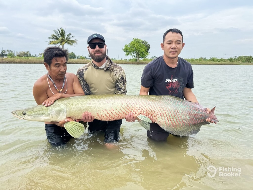 Three men are standing in shallow water and holding a large, elongated fish horizontally. The fish has greenish scales with reddish markings. It appears to be a Northern Pike, known for its long body and distinctive coloration.