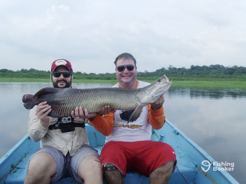 Two men are sitting in a boat, holding a large Arapaima fish, with water and lush greenery in the background. 