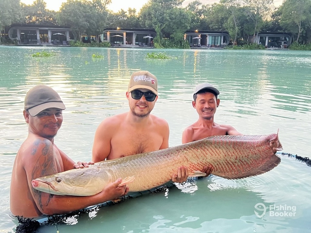 Three men are standing in shallow water, holding a large Arapaima horizontally. Modern cabins and trees are visible in the background.