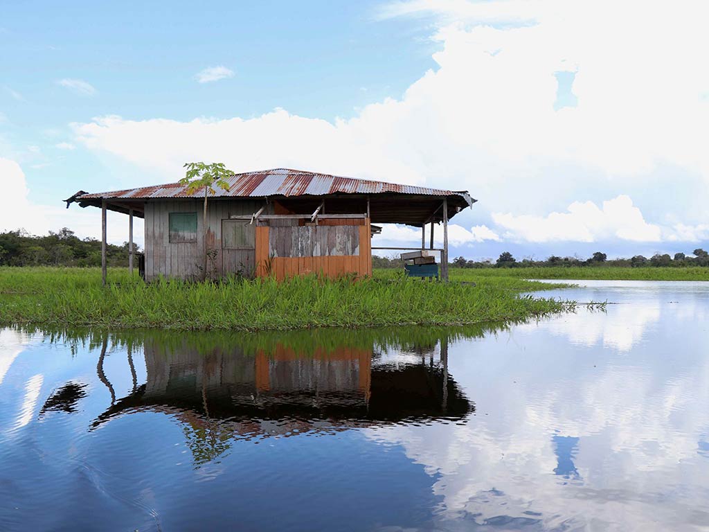 A small wooden house with a rusted metal roof stands on grassy land surrounded by calm water, and its reflection is visible in the water below. This peaceful scene invites you to relax and watch as Dragonflies skim across the surface while sunlight dances on both the old house and its shimmering mirror image in the still water.