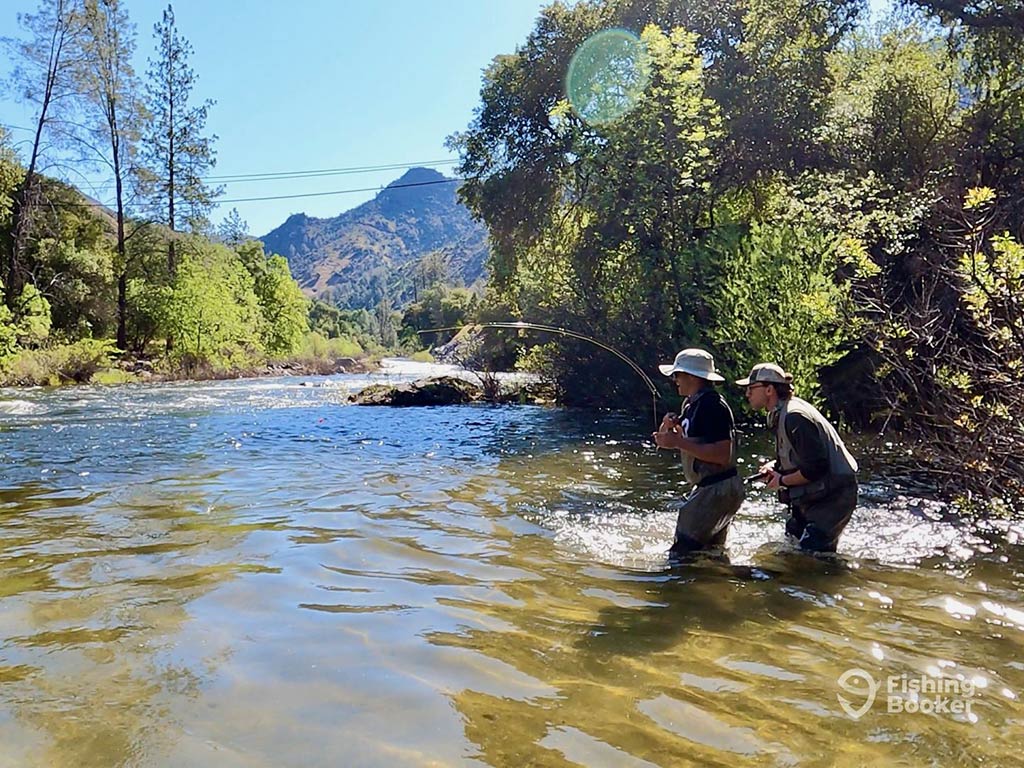 Two people, wearing hats and waders, are enjoying a sunny day of California Trout fly fishing in a river surrounded by trees and mountains.