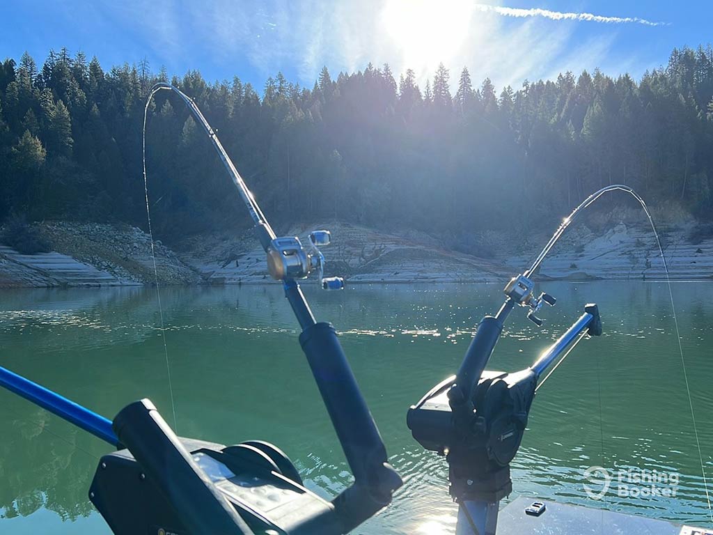 Two fishing rods cast into a calm California lake, surrounded by forested hills under a bright sunlit sky.