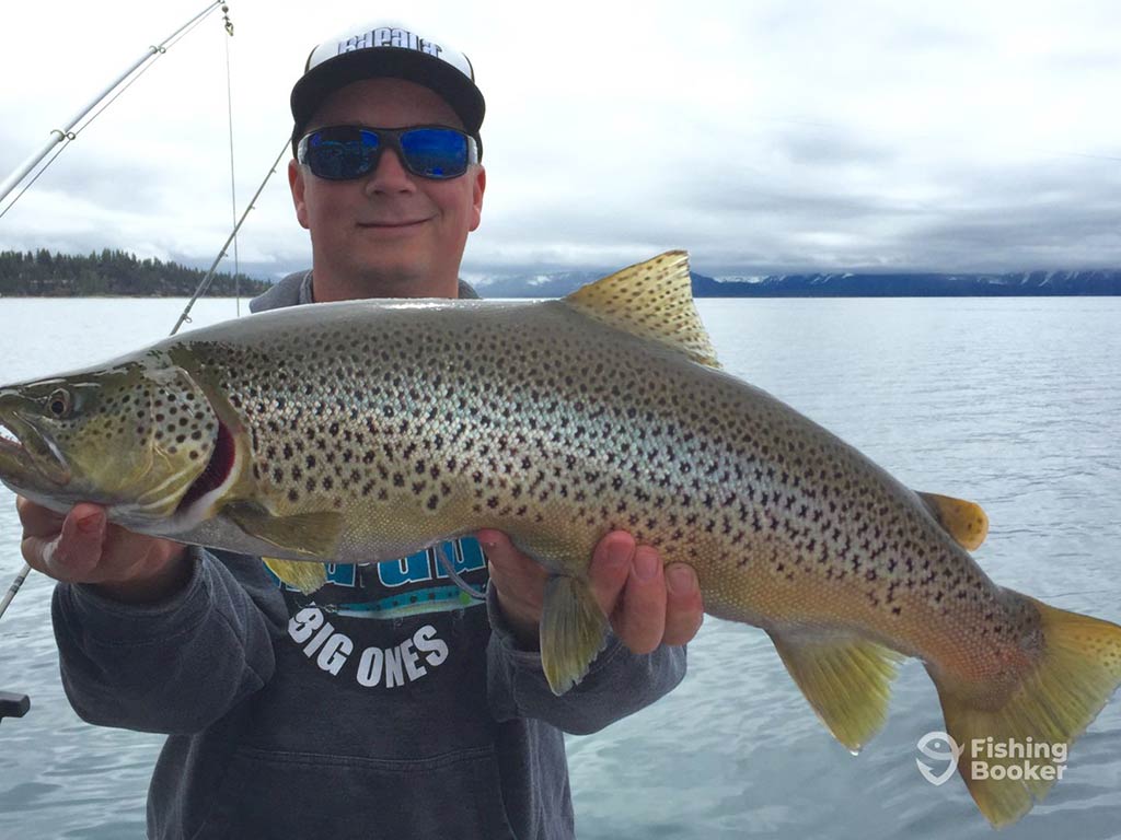 A person proudly displays a large Trout caught during a California fishing trip, standing by a lake in a cap and sunglasses, with an overcast sky casting a serene backdrop.