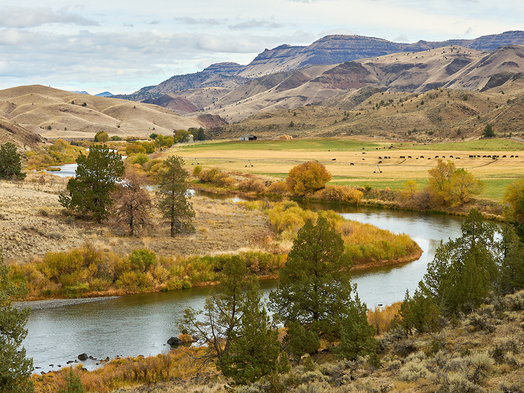 A winding river flows through a valley with scattered trees, grassy fields, and distant hills—perfect for Bass fishing in Oregon under a partly cloudy sky.