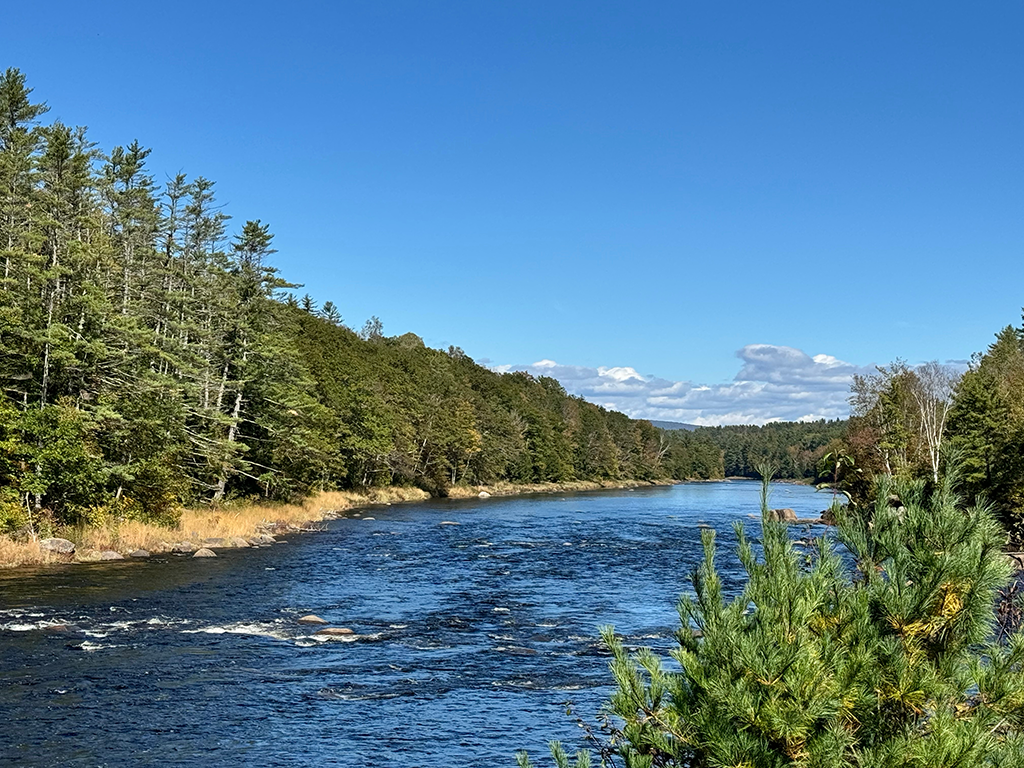A wide river flows between forested banks under a clear blue sky, with pine trees and greenery visible along the shoreline. 