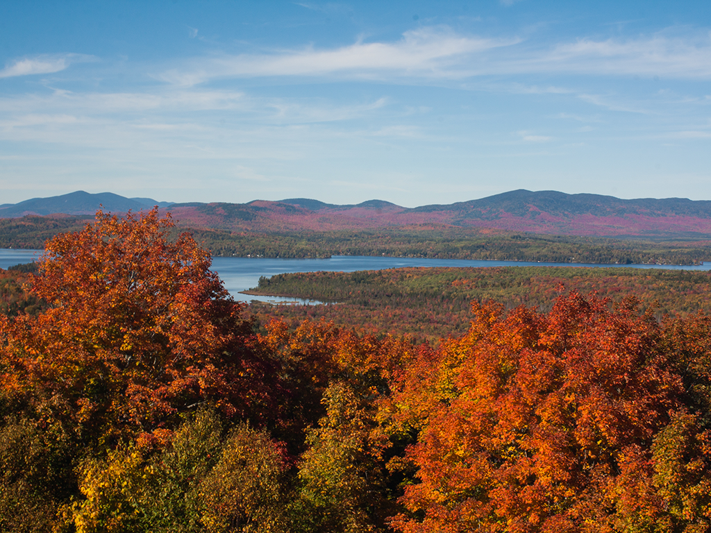 A broad landscape unfolds beneath a clear blue sky, where mountains rise gently in the distance. The foreground is alive with vibrant autumn foliage—leaves in shades of fiery red maple and orange oak glow against the sunlight. Below the trees, a tranquil lake reflects both the colorful canopy and the rugged peaks beyond. 